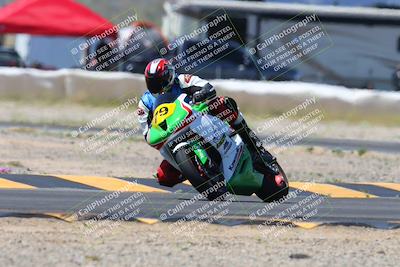 media/Apr-13-2024-SoCal Trackdays (Sat) [[f1617382bd]]/7-Turn 2 (1125am)/